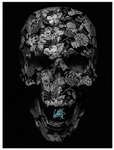 Dark Floral Skull Black Rcostardy